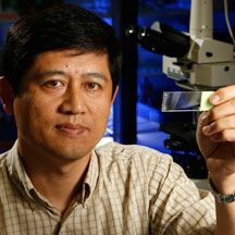 Lijun Xia, M.D., Ph.D. - xia_LS123971