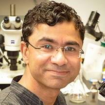 Michael T. Kinter, Ph.D.