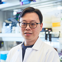 Chi Fung Lee, Ph.D.