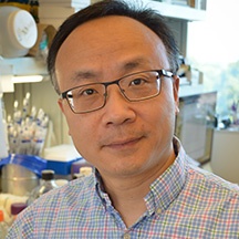 Bojing Shao, Ph.D.