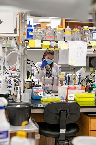 A scientist performs an experiment at the Oklahoma Medical Research Foundation