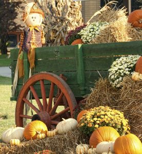 Beautiful autumn color display with pumpkins, a scarecrow, bales of hay, mums, and an antique wagon.