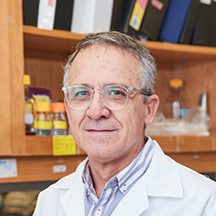 José Alberola-Ila, M.D., Ph.D.