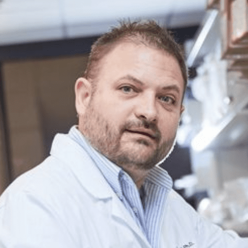 Michael B. Stout, Ph.D.