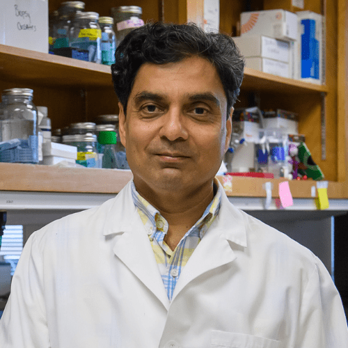 Umesh Deshmukh, Ph.D.