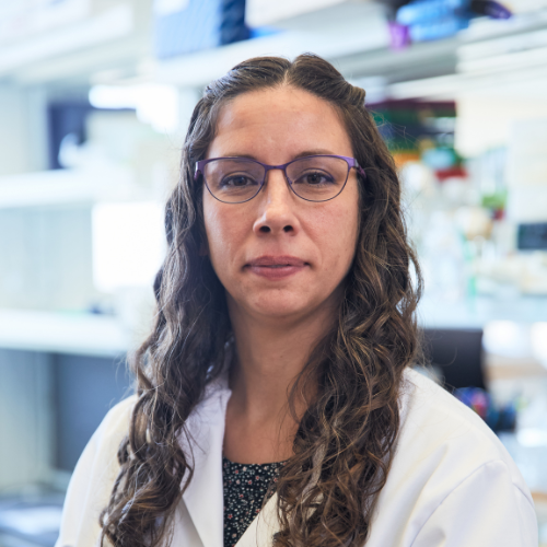 Jacquelyn Gorman, Ph.D.