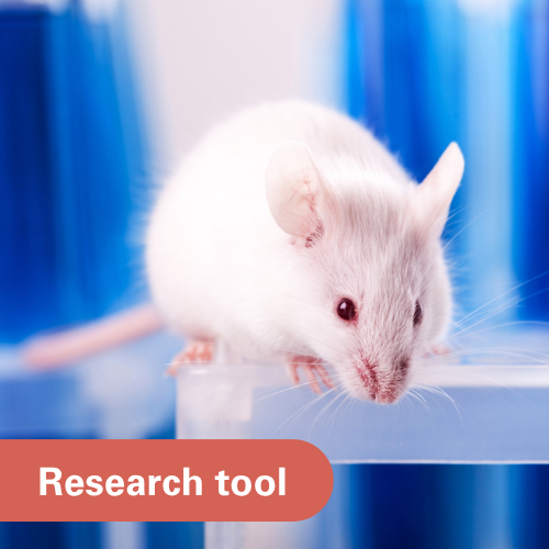 Development of a Colorectal Cancer and Colitis Mouse Model using Type O-glycans