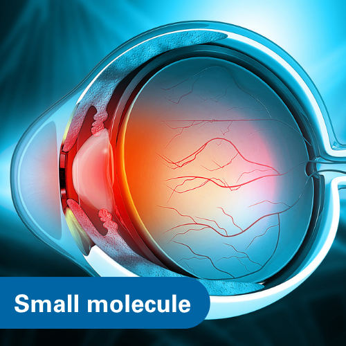 Blocking Retinal Capillary Regression to Prevent Retinopathy