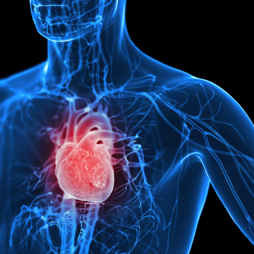 SARM1 Inhibition Ameliorates Metabolic Cardiomyopathy