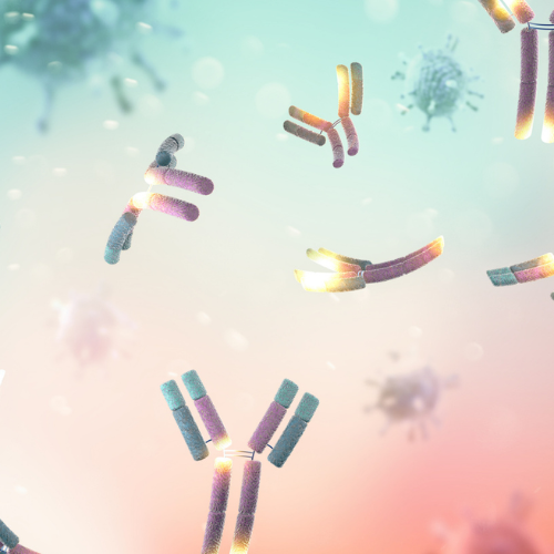 Monoclonal Antibodies for Diagnosis and Treatment of Streptococcus Pneumoniae Infections